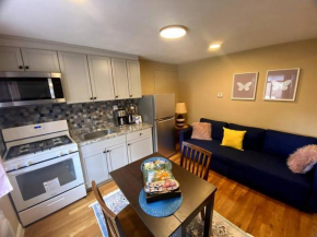 Cozy Boston Getaway Apartment! Free Parking